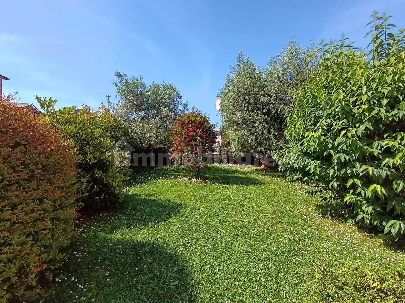 Villa unifamiliare via della Santissima Annunziata traversa 2, Santissima Annunziata, Lucca - foto 2