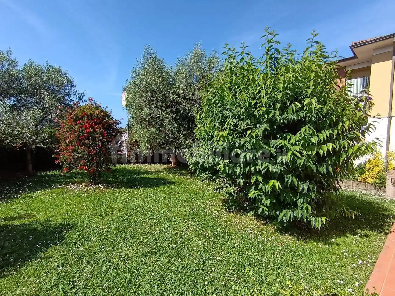 Villa unifamiliare via della Santissima Annunziata traversa 2, Santissima Annunziata, Lucca - foto 3