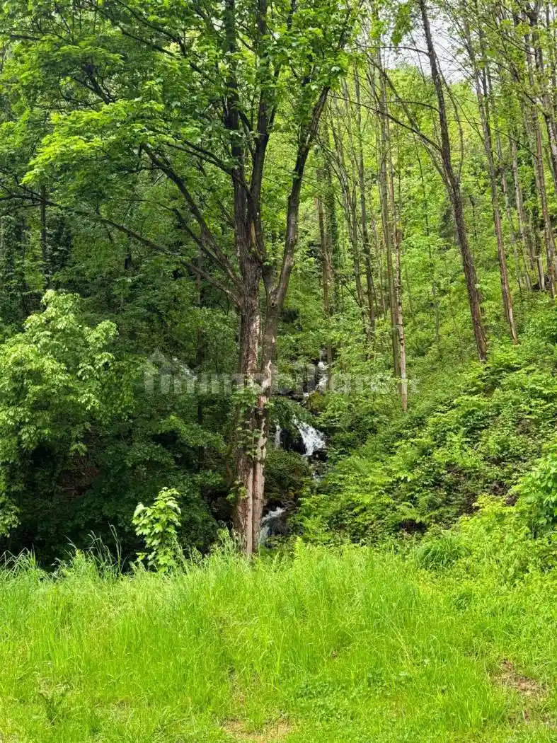 Casa indipendente in vendita a Valli del Pasubio