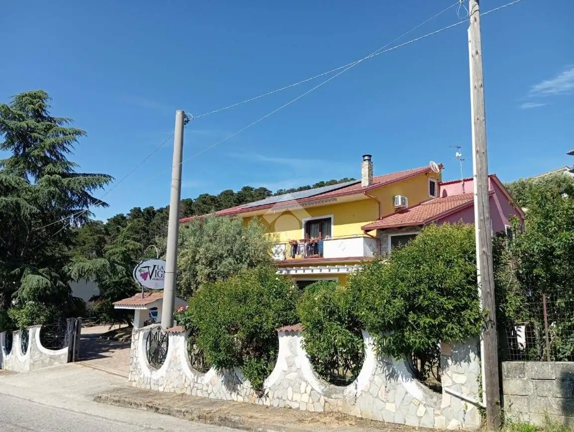 Palazzo - Edificio in vendita a Luzzi