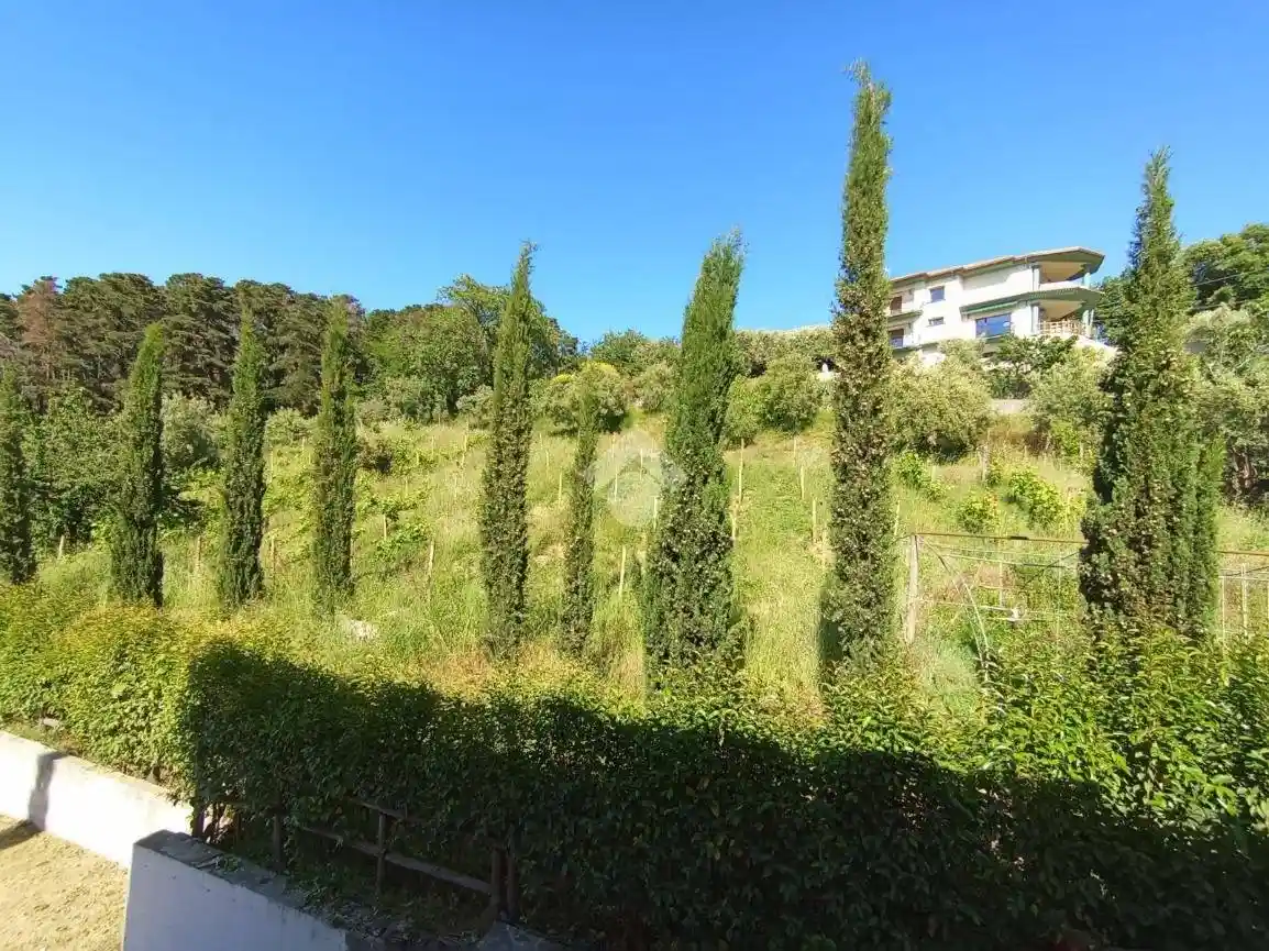 Palazzo - Edificio in Vendita - foto 4