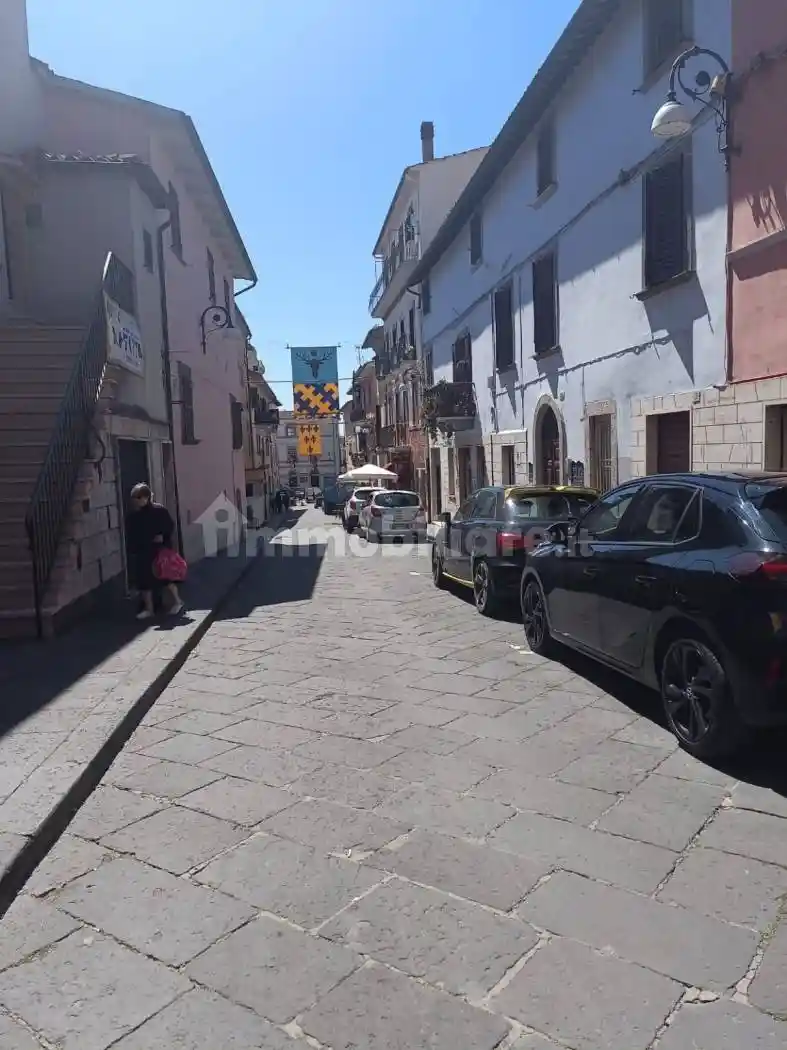 Terratetto plurifamiliare via del Borgo 15/b, Centro, Castiglione in Teverina - foto 2