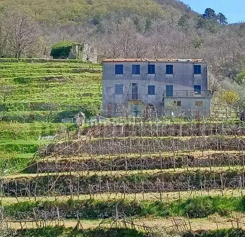 Rustico - Casale in vendita a Ne