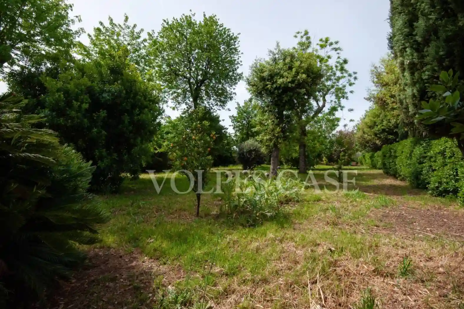 Palazzo - Edificio - foto 2