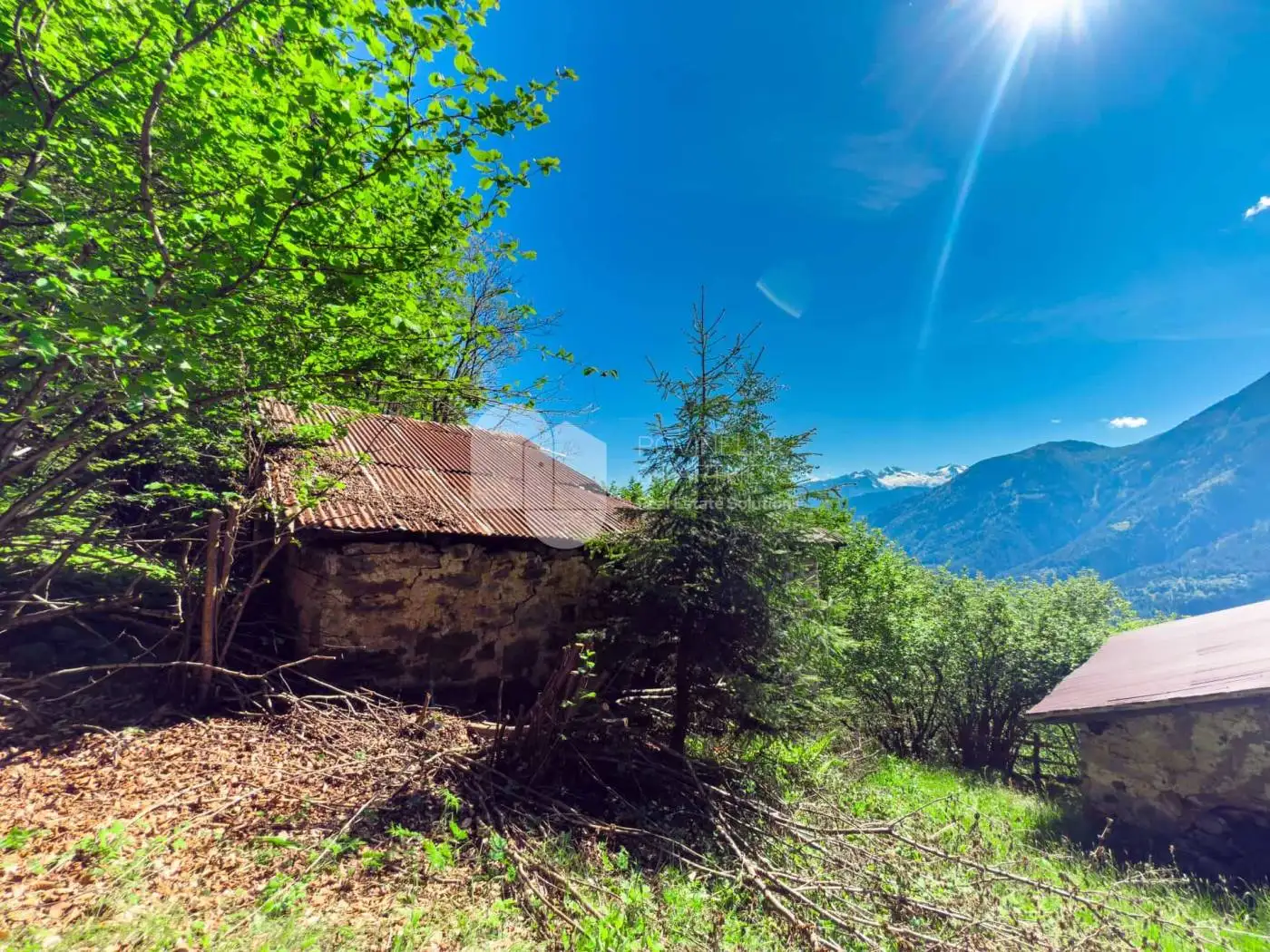 Rustico - Casale in vendita a Bocenago