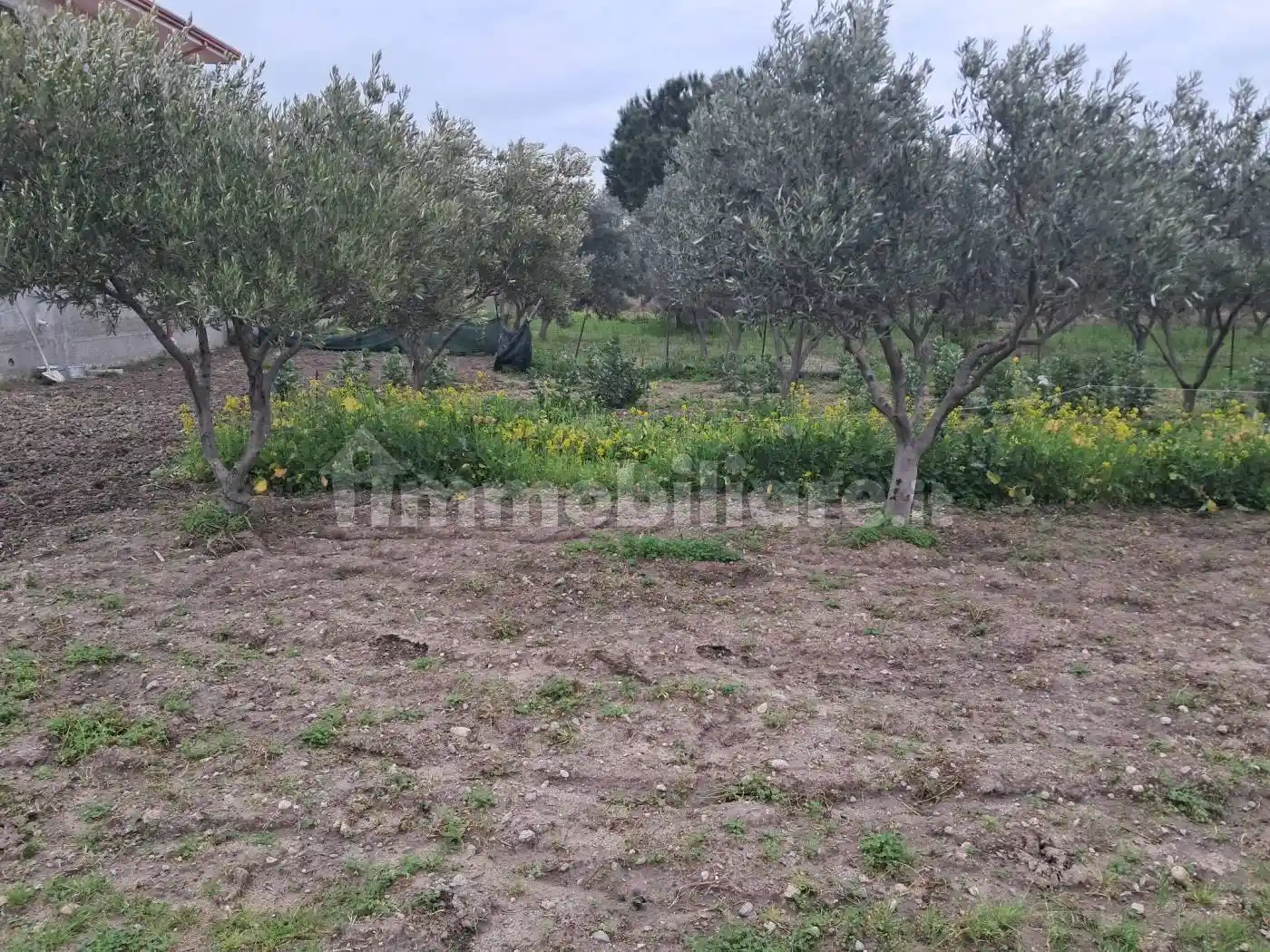 Villa bifamiliare Località Chiaro, Sellia Marina - foto 4