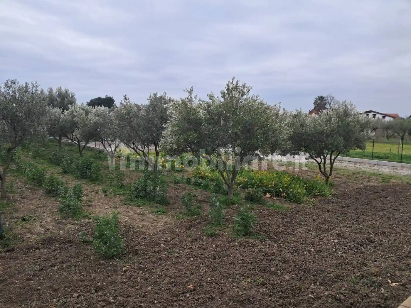 Villa bifamiliare Località Chiaro, Sellia Marina - foto 5