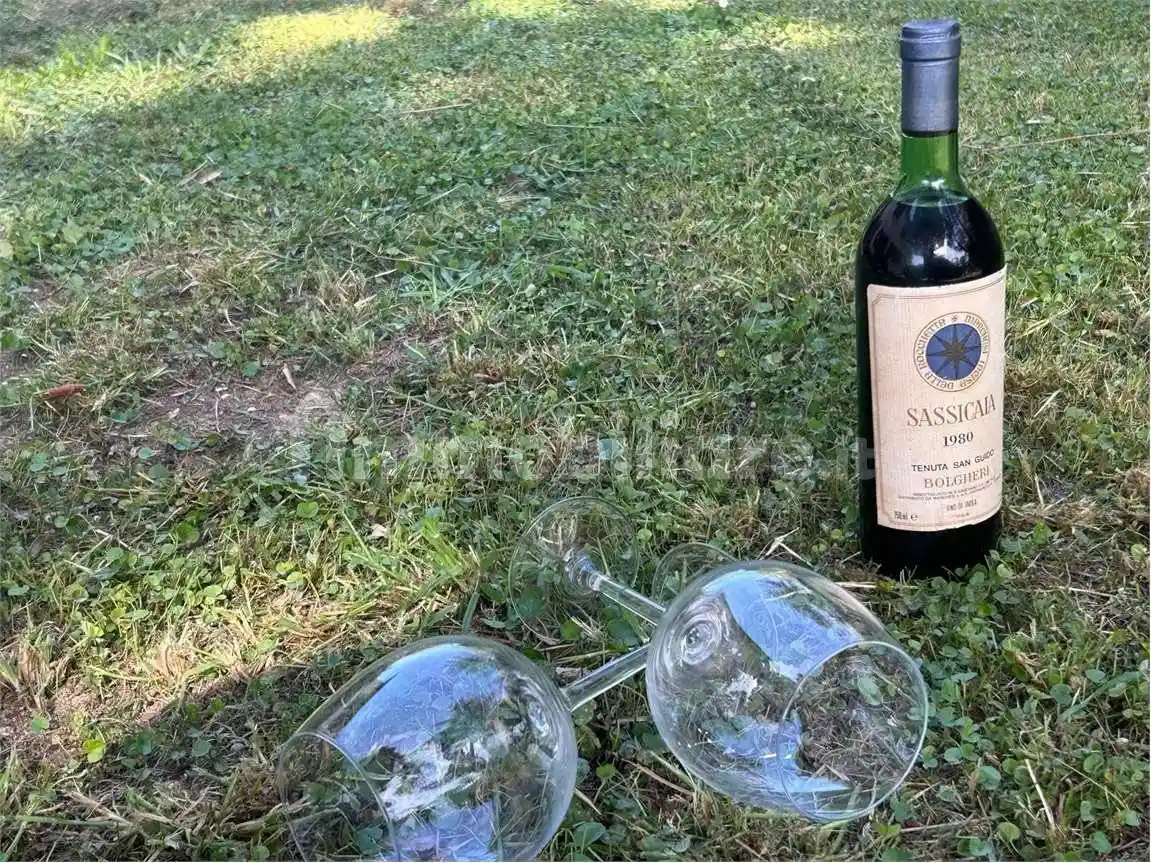 Quadrilocale via dei colli, Bolgheri, Castagneto Carducci - foto 5