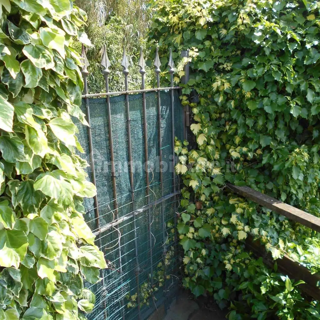 Rustico Strada Provinciale Maremmana Superiore, Bellegra - foto 4