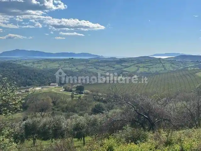 Rustico - Casale in vendita a Magliano in Toscana