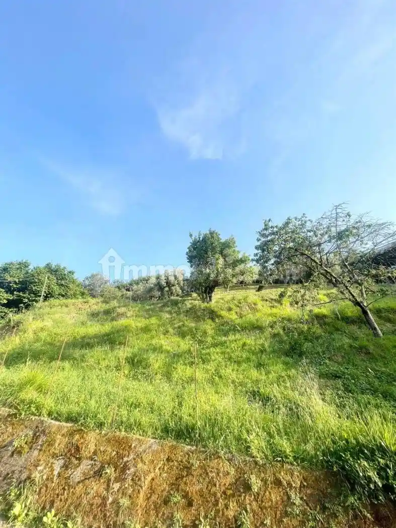 Casa indipendente in vendita a Massarosa