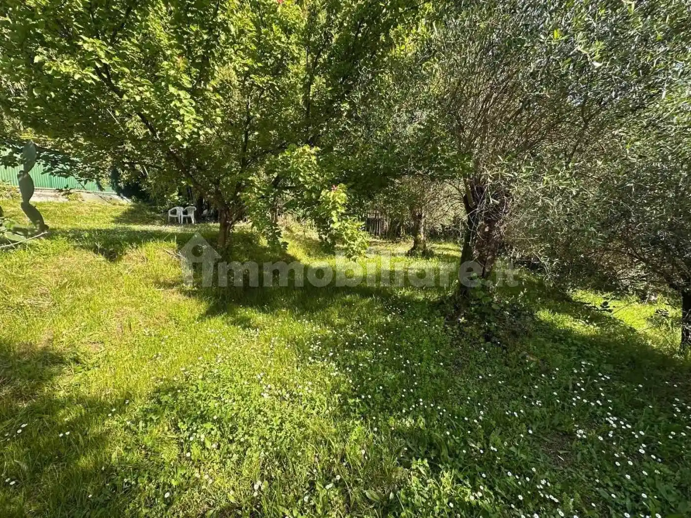 Rustico - Casale in vendita a Massarosa