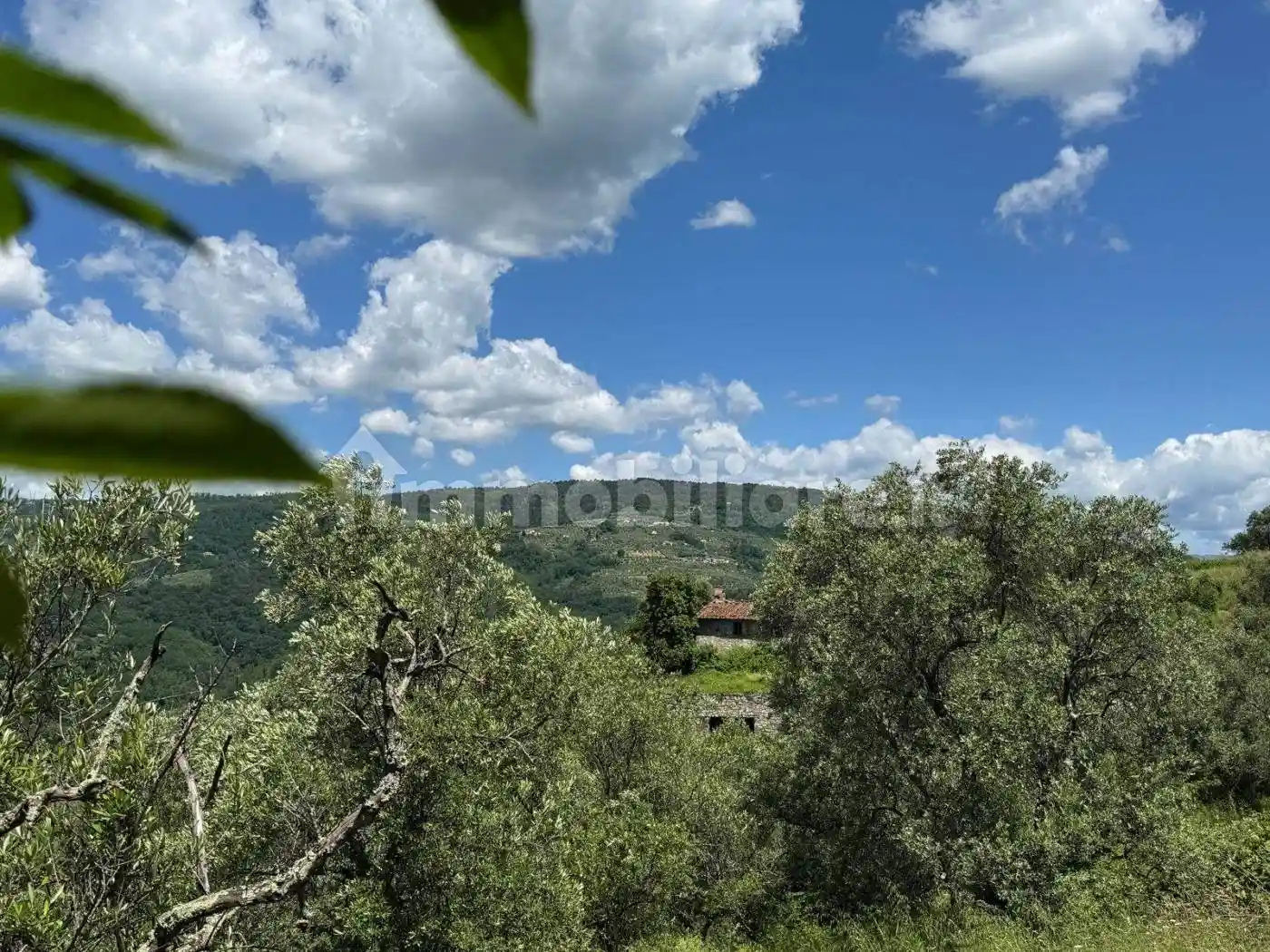 Rustico - Casale in vendita a Serravalle Pistoiese