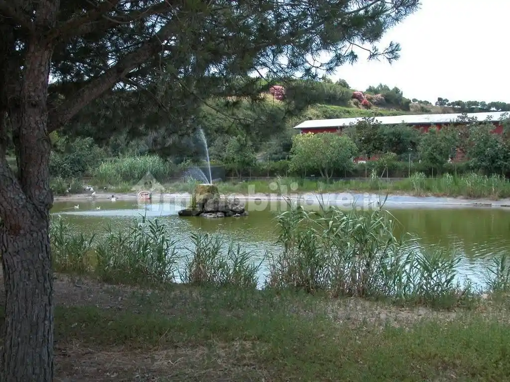 Palazzo - Edificio - foto 4