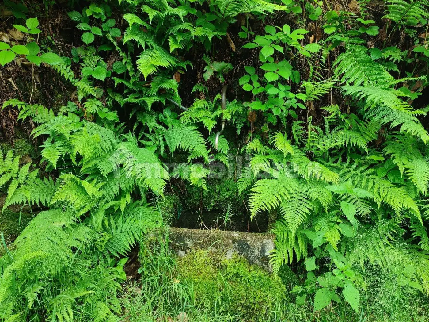 Rustico, da ristrutturare, 30 m², Brondello - foto 2