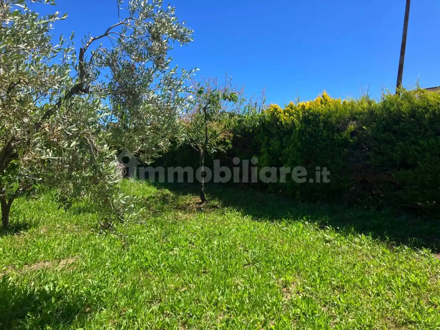 Terratetto plurifamiliare Contrada Polercia 13B, Cupello - foto 4