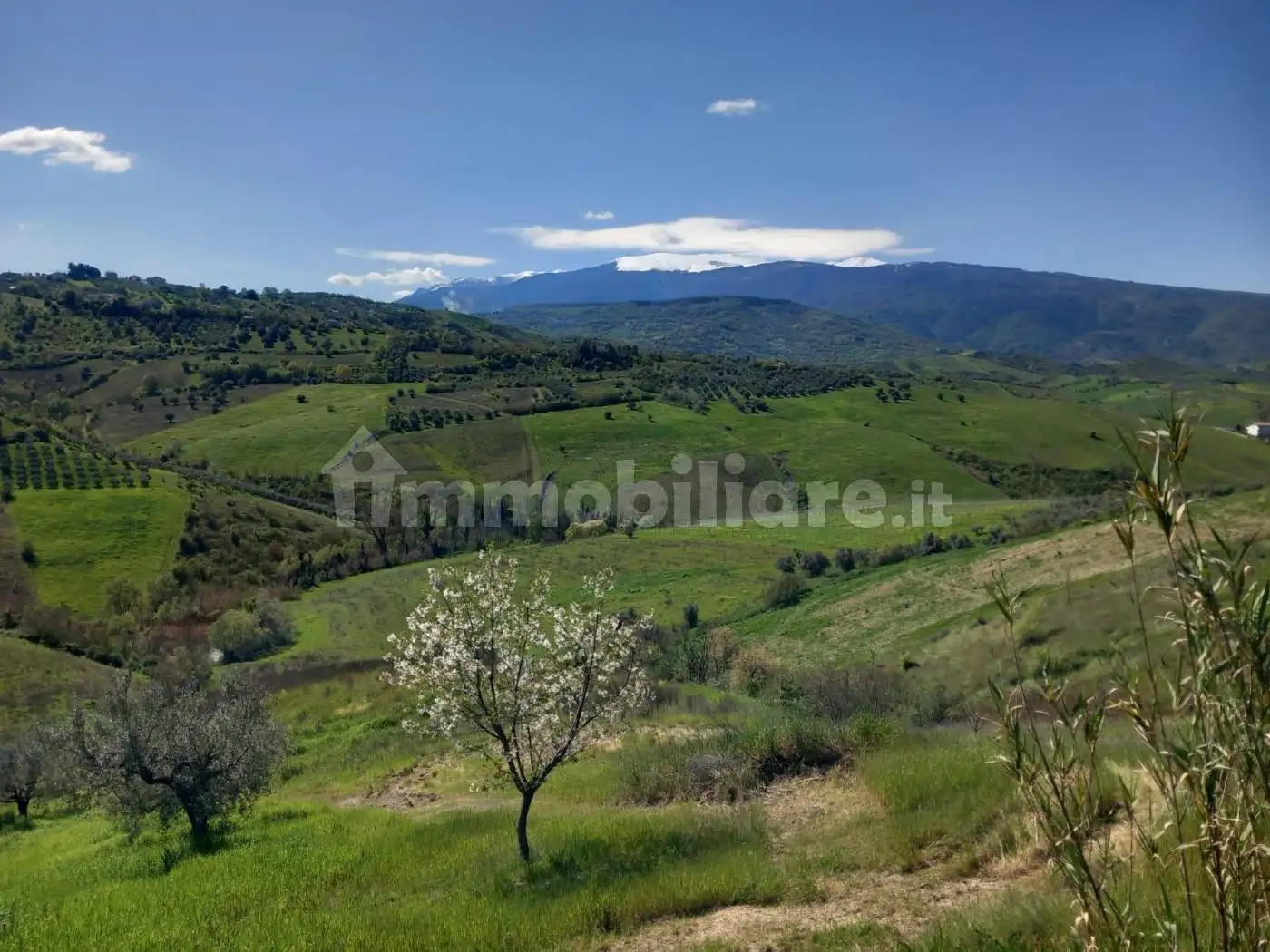 Rustico via Sant'Ilio, Centro, Casalincontrada - foto 4