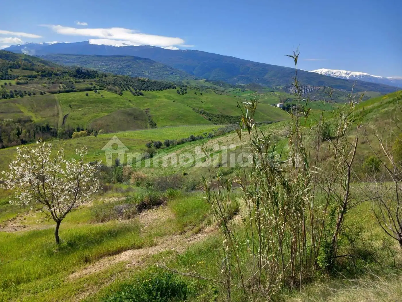 Rustico via Sant'Ilio, Centro, Casalincontrada - foto 5