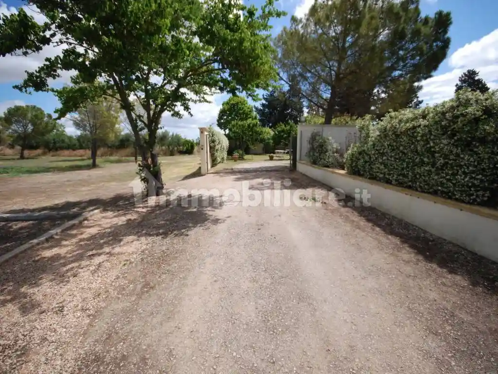 Casale Ss673, Duanera, Foggia - foto 4