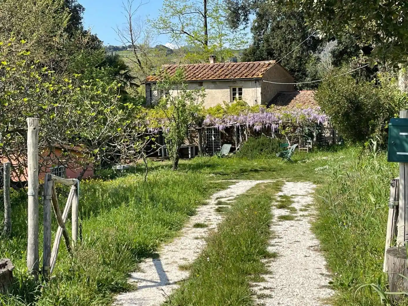 Rustico - Casale in vendita a Montescudaio