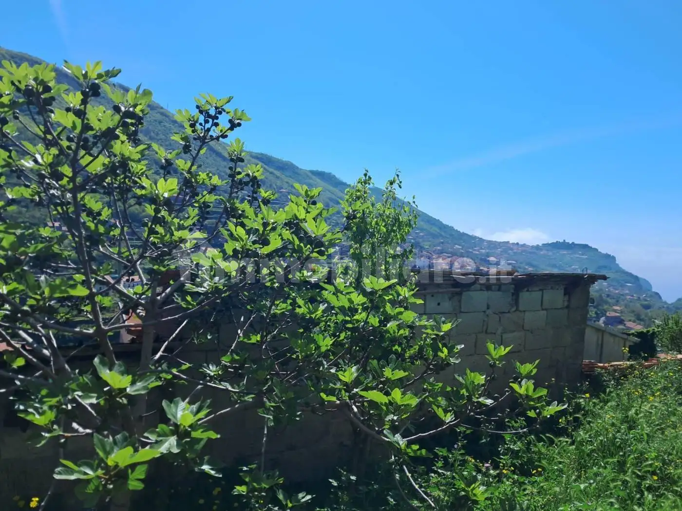 Casale salita Prima della Vittoria, Pianillo, Agerola - foto 5