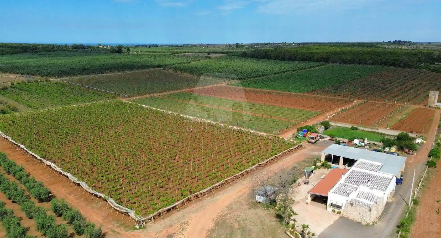 Casa indipendente in vendita a Presicce-Acquarica