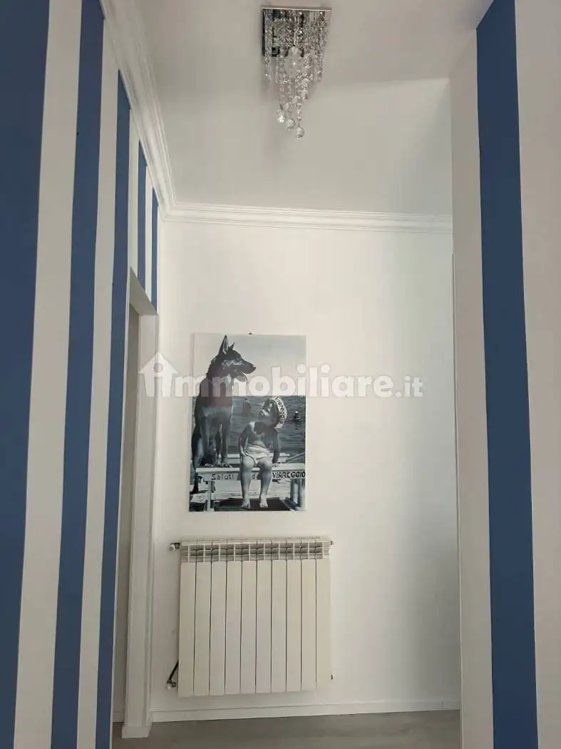 Appartamento in affitto a Viareggio