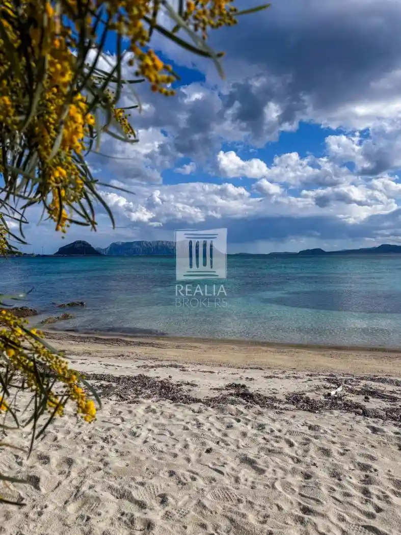 Villetta a schiera in vendita a Golfo Aranci