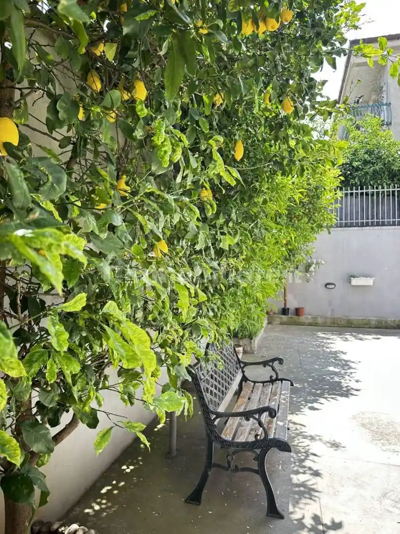 Palazzo - Edificio - foto 5