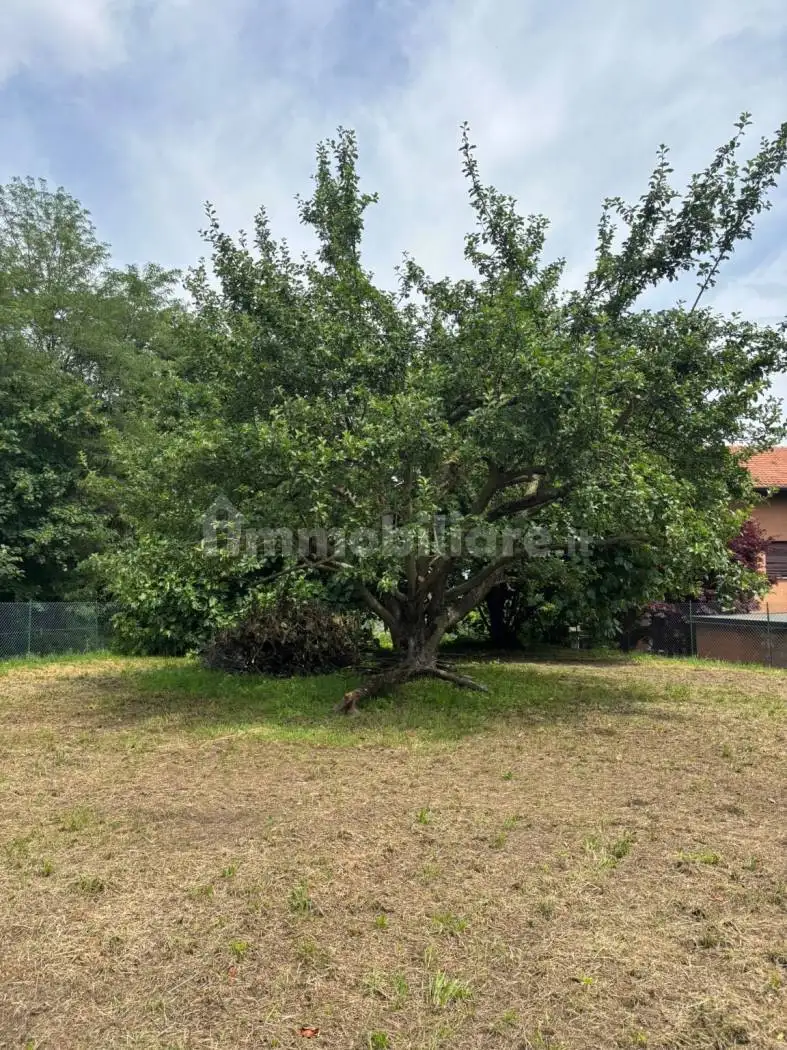 Rustico via Isonzo, Buguggiate - foto 4