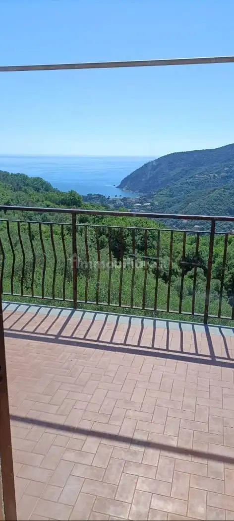 Appartamento in affitto a Moneglia