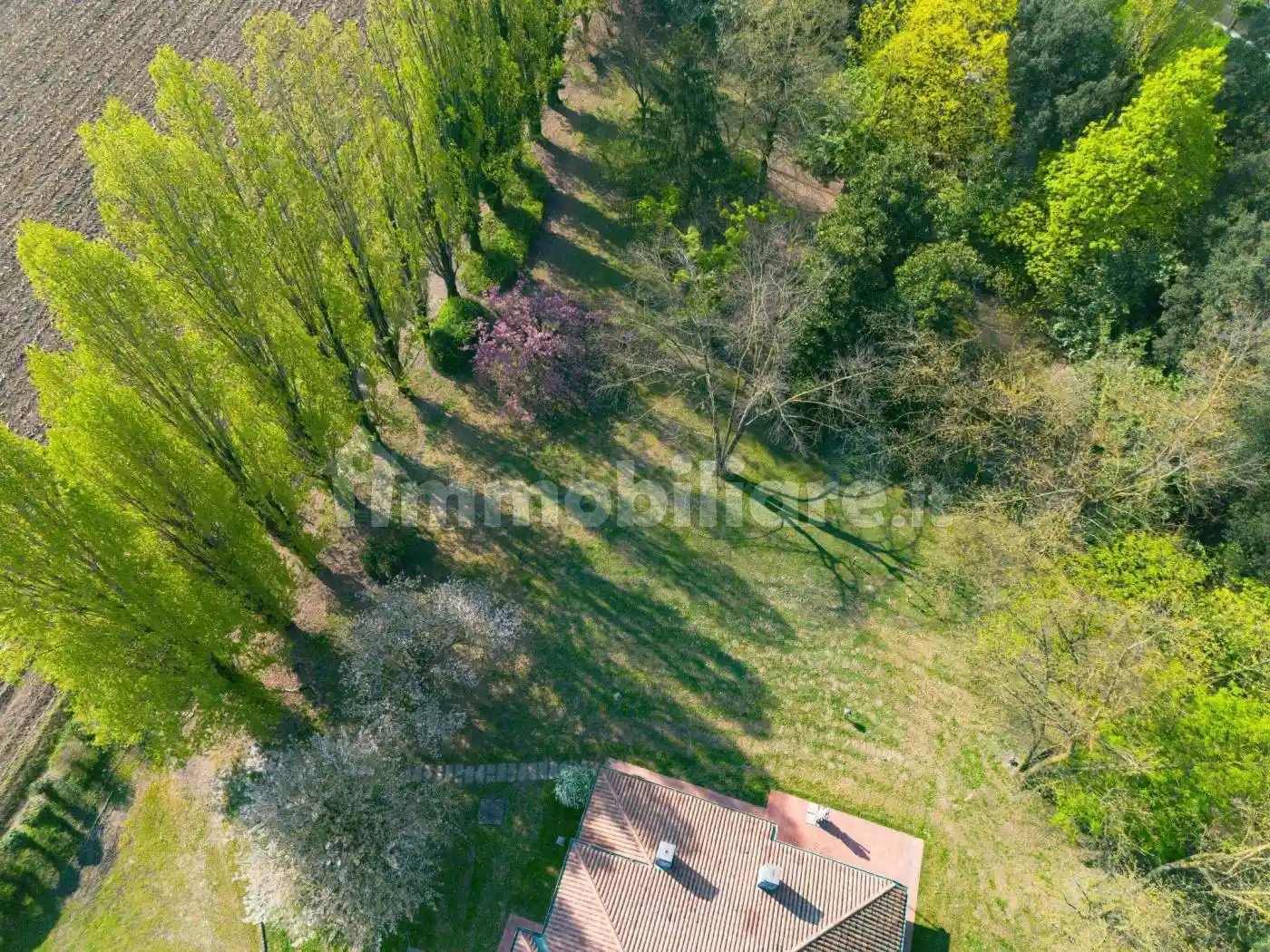 Villa in vendita a Noventa Padovana