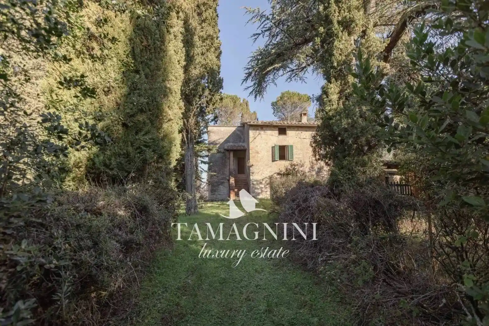 Rustico - Casale in vendita a Cetona