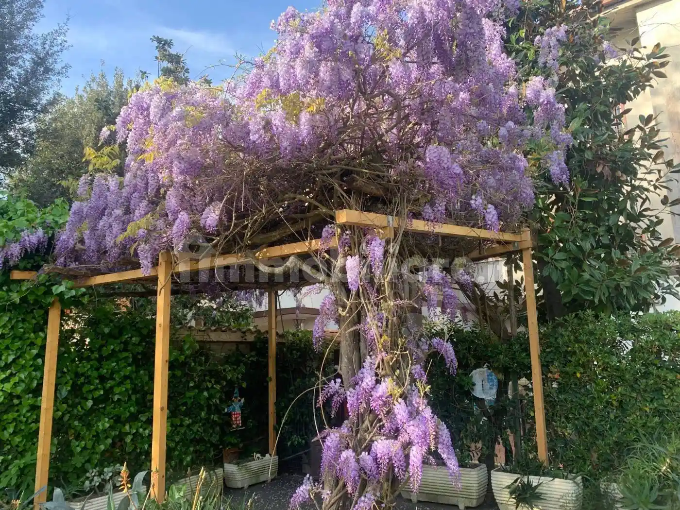 Villa in affitto a Fiumicino