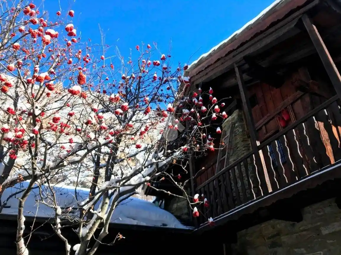 Casa indipendente - foto 5