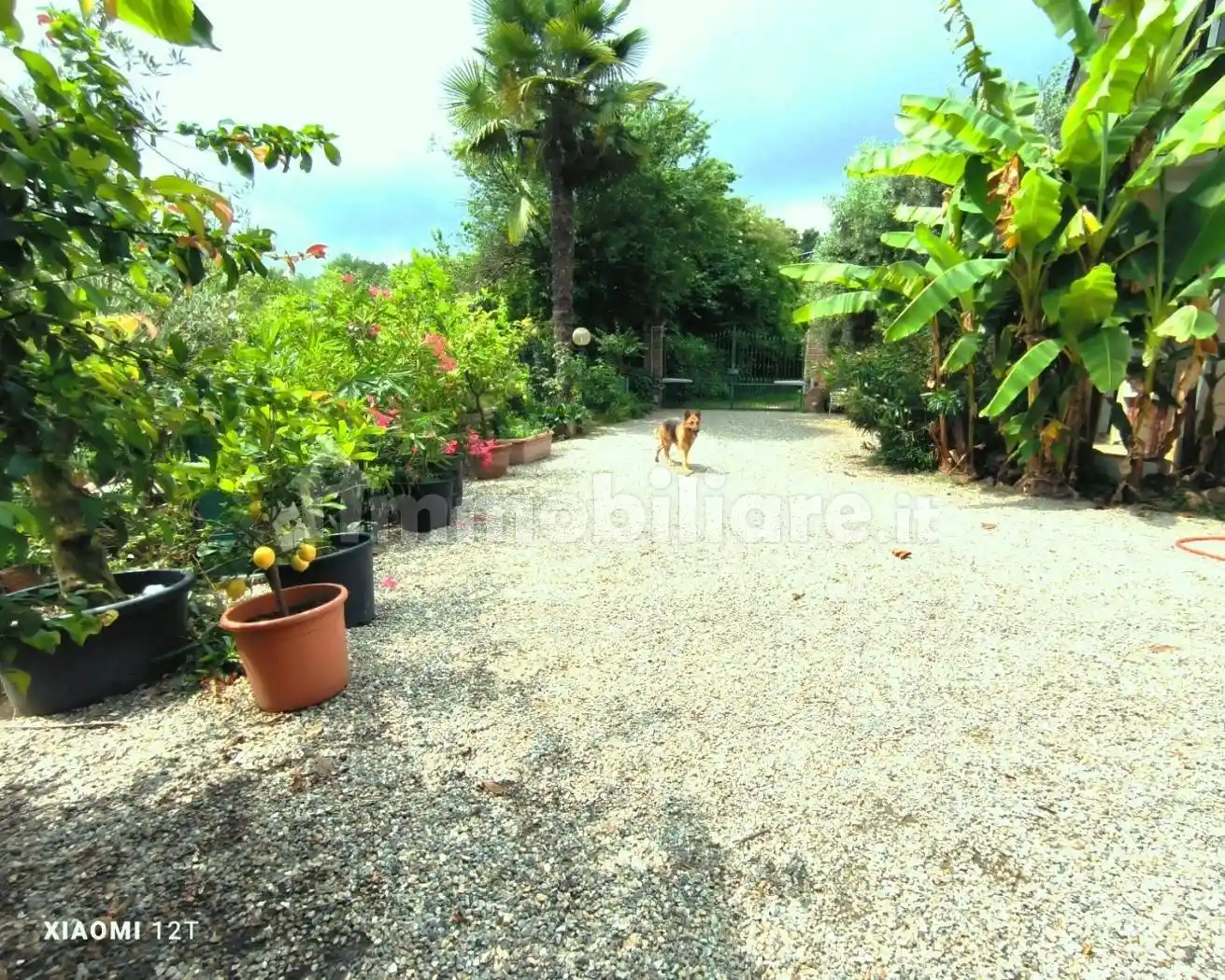 Villa unifamiliare, buono stato, 1617 m², Moransengo-Tonengo - foto 2