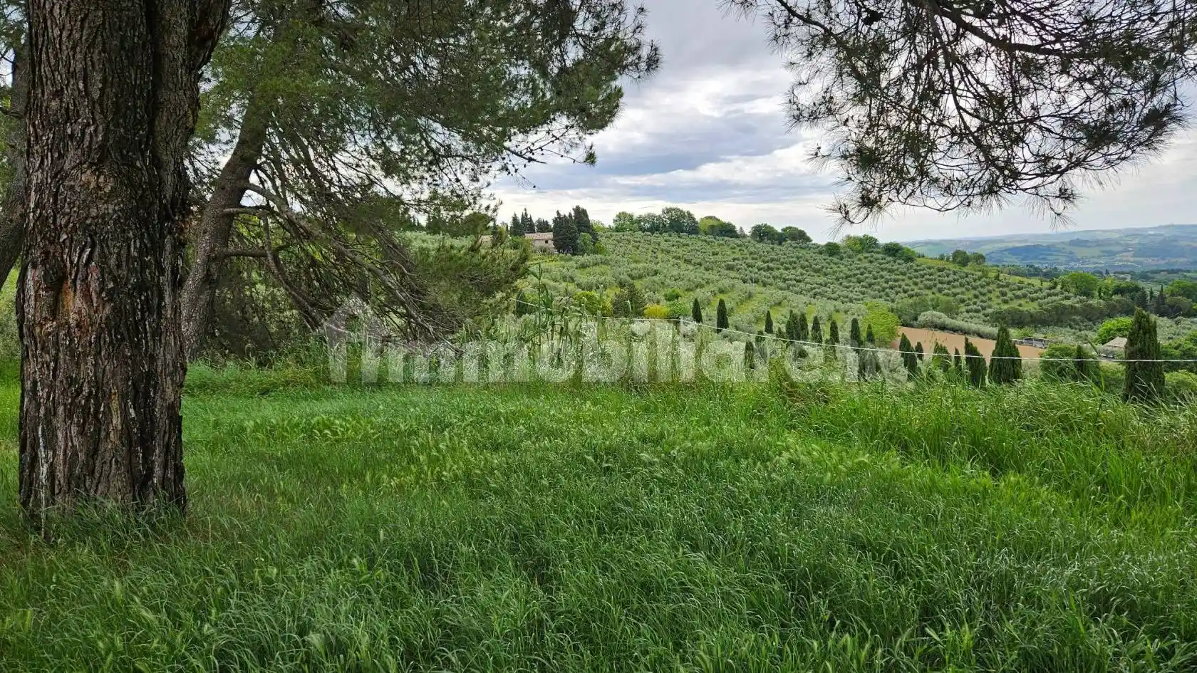 Rustico - Casale in vendita a Cartoceto