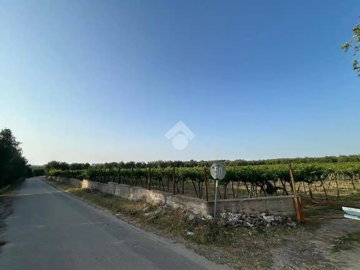 Villa unifamiliare Strada Vicinale Petraro, Montaltino - Canne, Barletta - foto 5