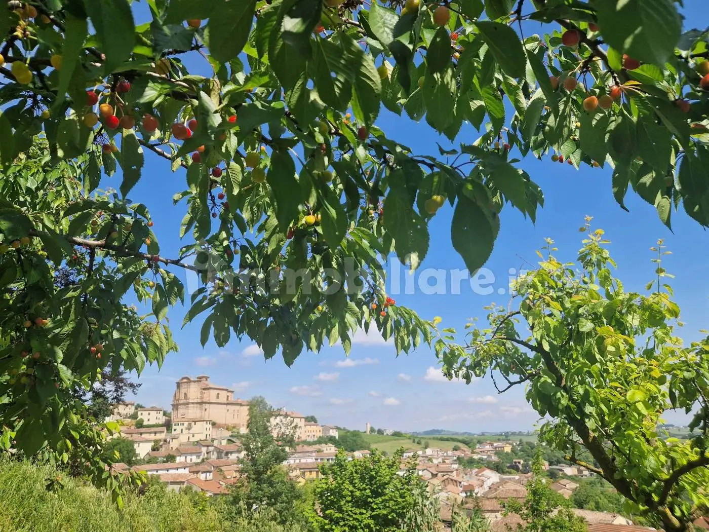 Villa bifamiliare via Felice Bava 43, Casorzo - foto 4