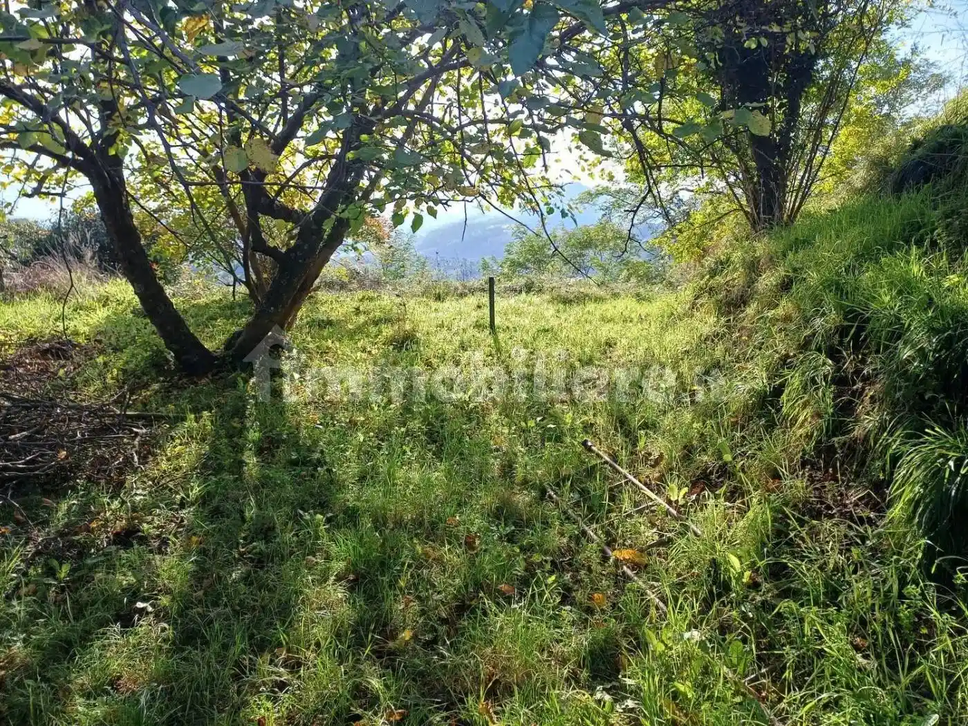 Villa unifamiliare via Bastia San C., Vezzano Ligure - foto 5