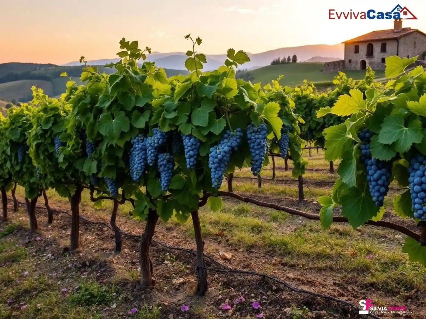 Casale via Sant'Amico 73, Morro d'Alba - foto 3