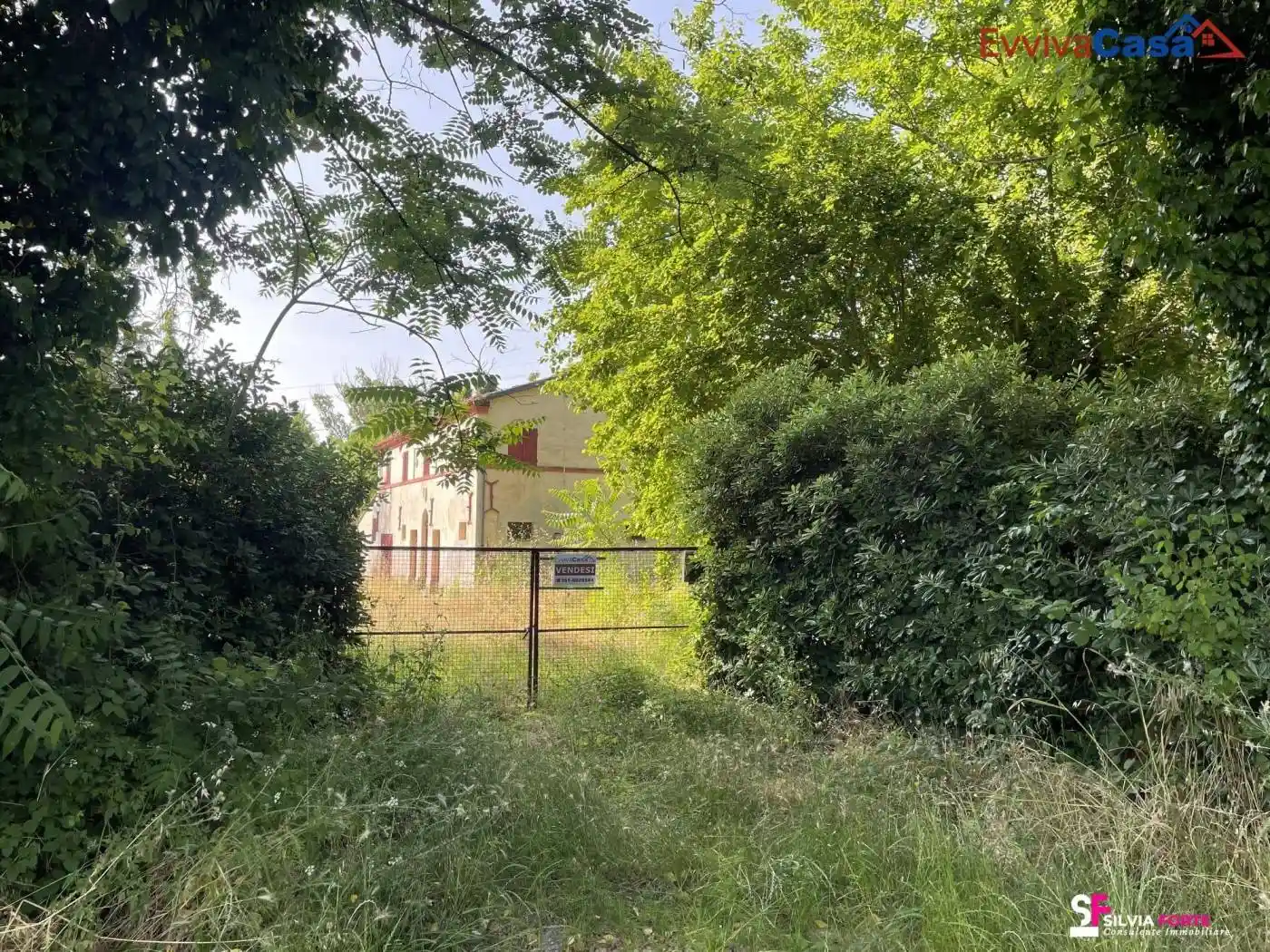 Casale via Sant'Amico 73, Morro d'Alba - foto 5