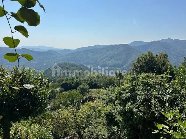 Terratetto plurifamiliare via 1 Maggio, Carrodano - foto 2