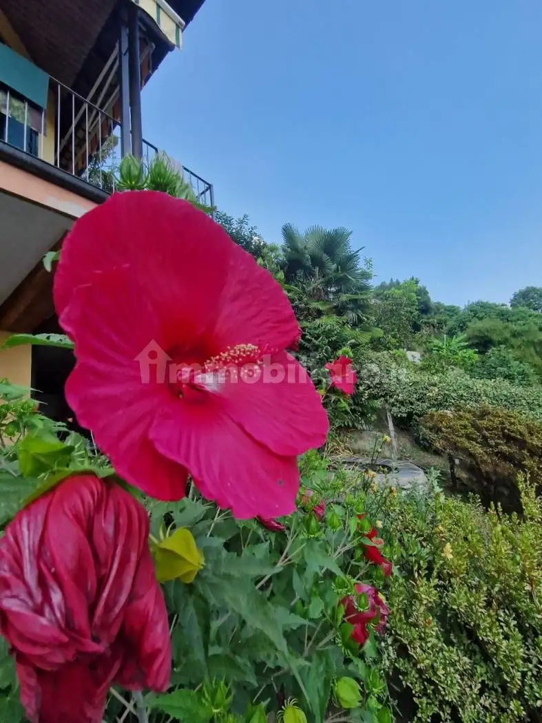 Villa in vendita a Miasino