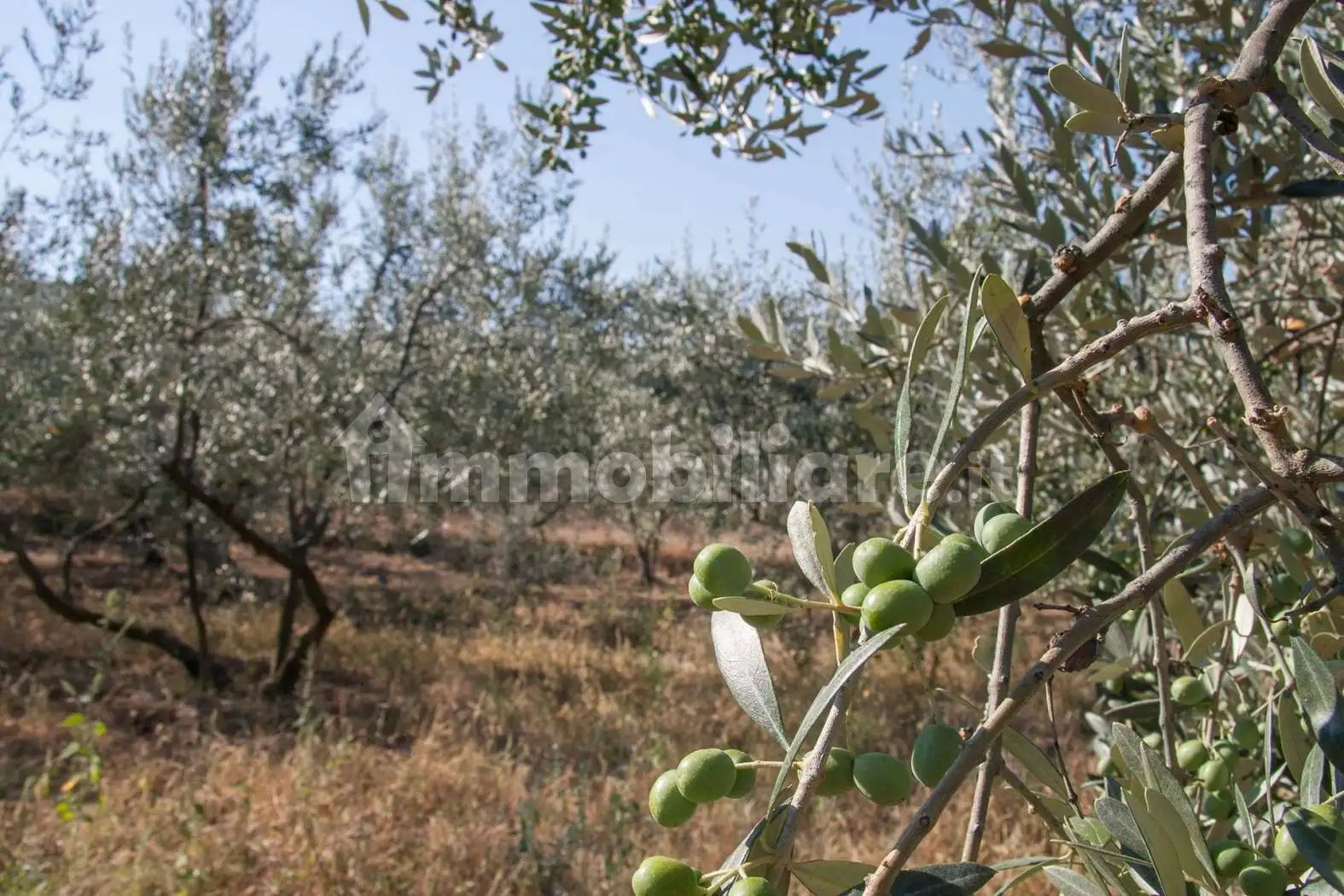 Rustico - Casale in vendita a Arezzo