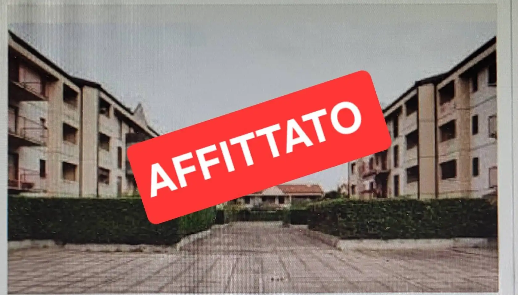 Appartamento in affitto a Segrate