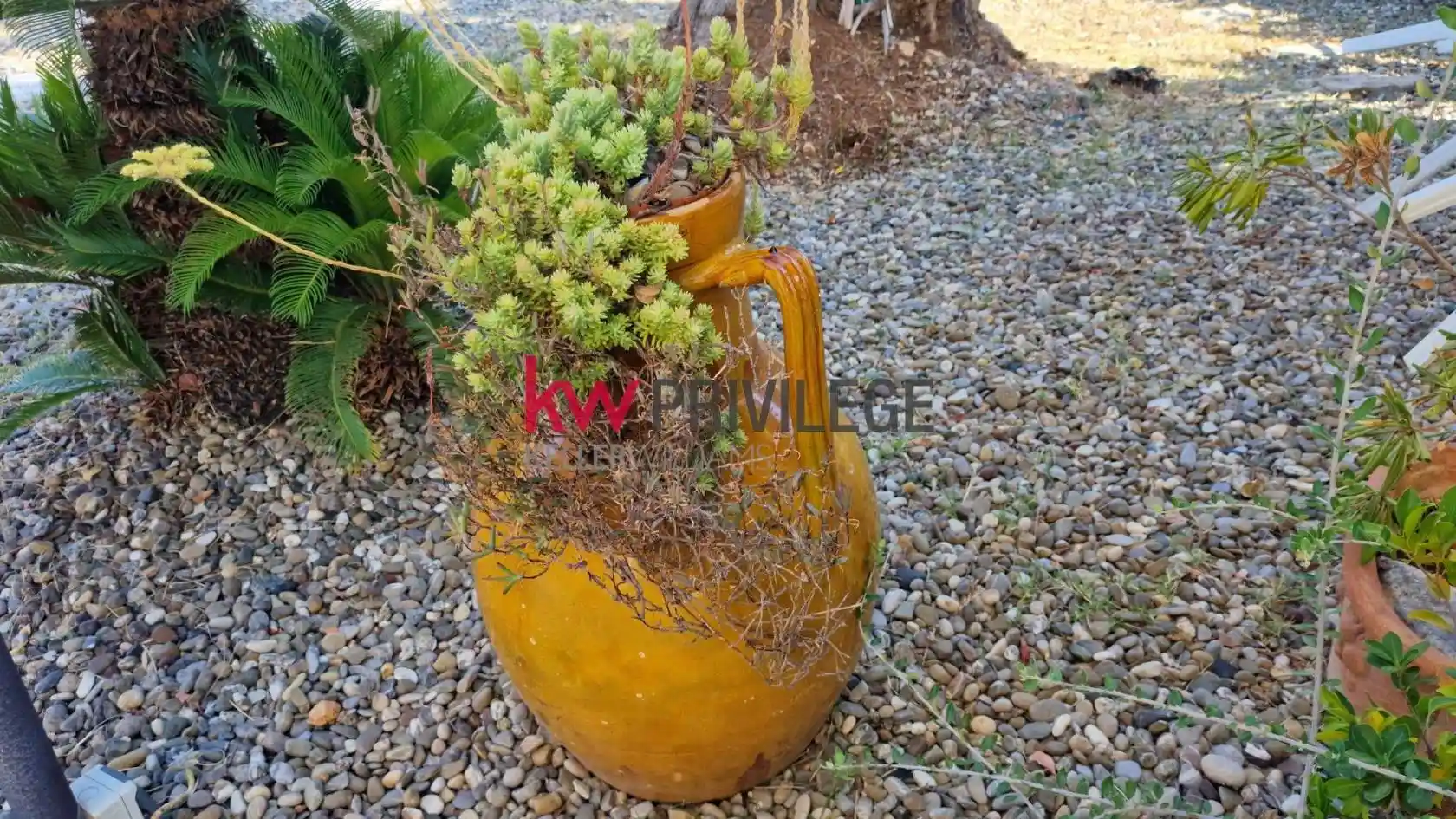 Villa unifamiliare, ottimo stato, 361 m², Savelletri, Torre Canne, Fasano - foto 3