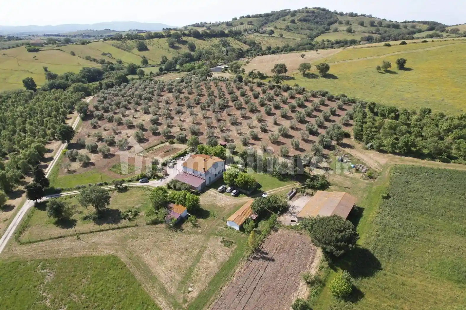 Rustico - Casale in vendita a Magliano in Toscana