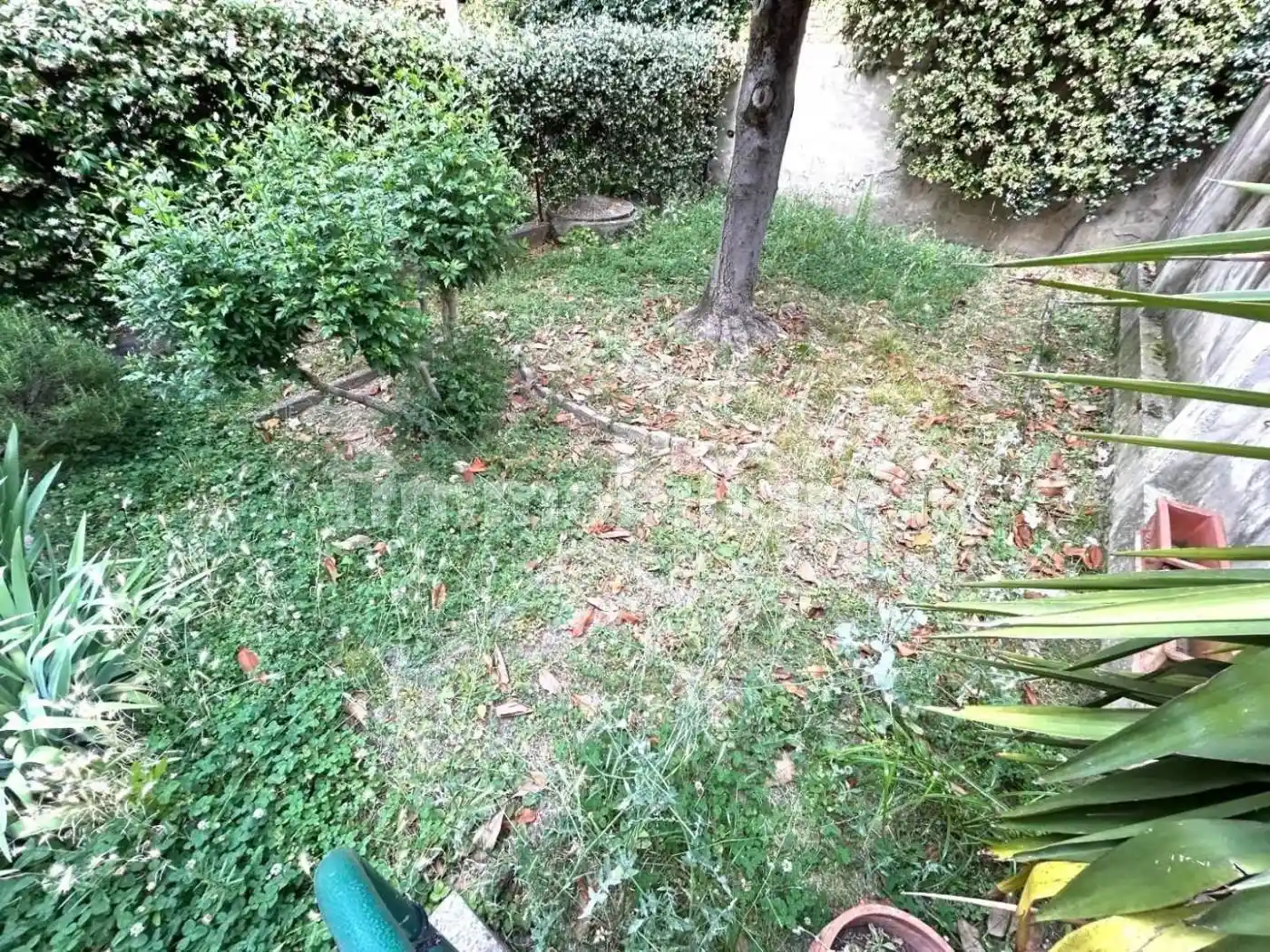 Casa indipendente in vendita a Empoli