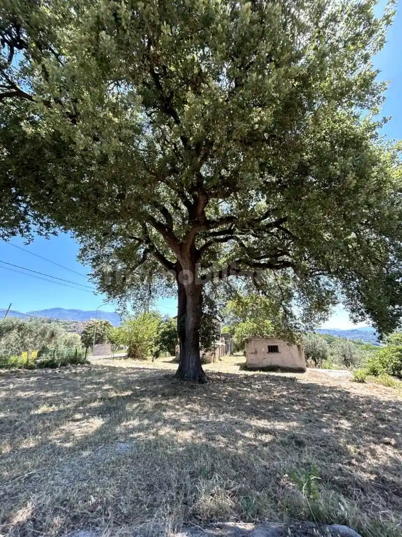 Casale via San Michele, Cantalupo in Sabina - foto 4